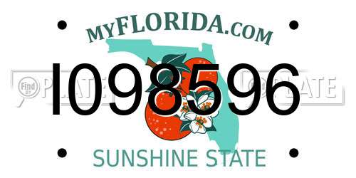 I098596 Florida License Plate