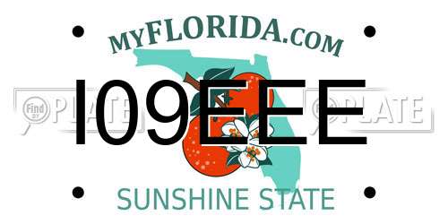 I09EEE Florida License Plate