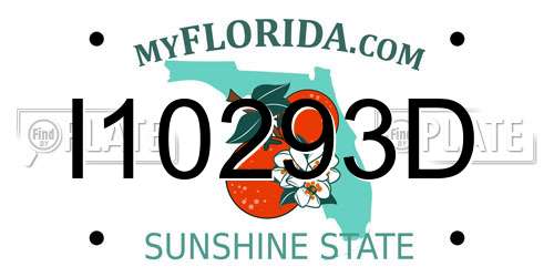 I10293D Florida License Plate