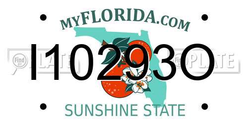 I10293O Florida License Plate
