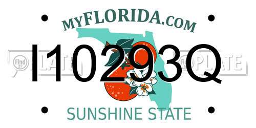 I10293Q Florida License Plate