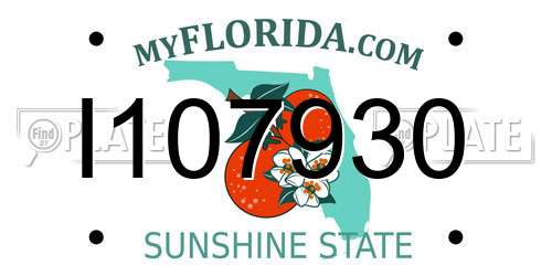 I107930 Florida License Plate