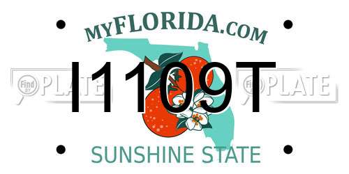 I1109T Florida License Plate