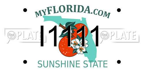 I1111 Florida License Plate