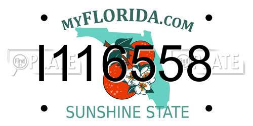 I116558 Florida License Plate