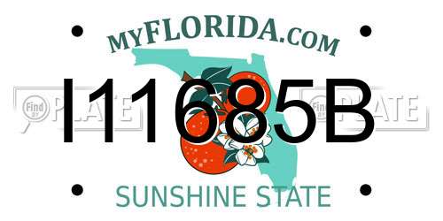 I11685B Florida License Plate