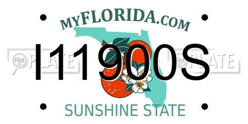 I11900S Florida License Plate