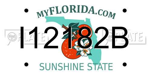 I12182B Florida License Plate