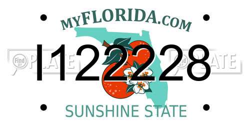 I122228 Florida License Plate