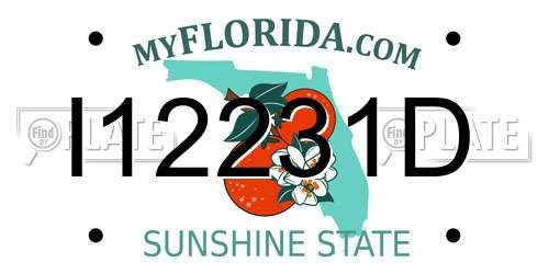 I12231D Florida License Plate