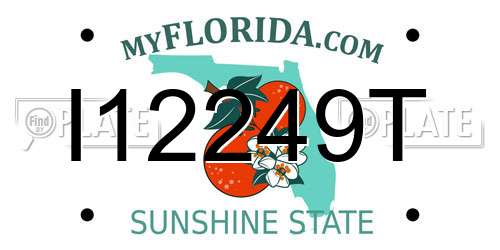 I12249T Florida License Plate