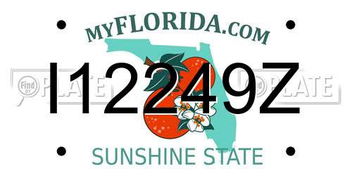 I12249Z Florida License Plate