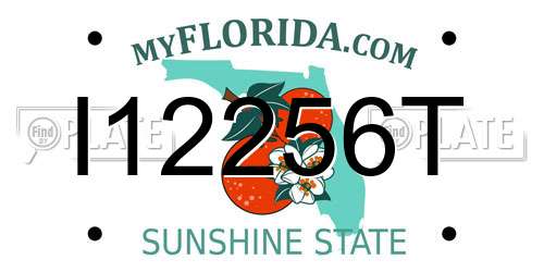 I12256T Florida License Plate