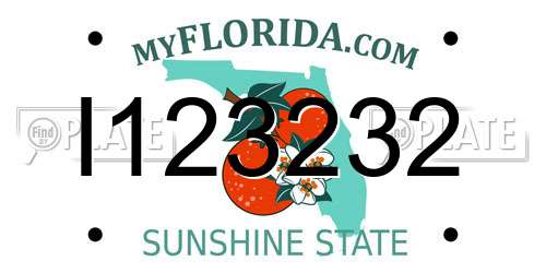 I123232 Florida License Plate