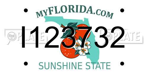 I123732 Florida License Plate