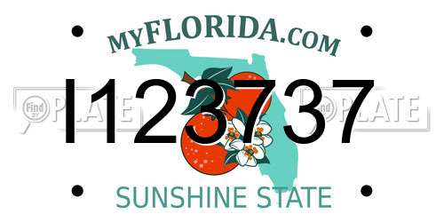 I123737 Florida License Plate