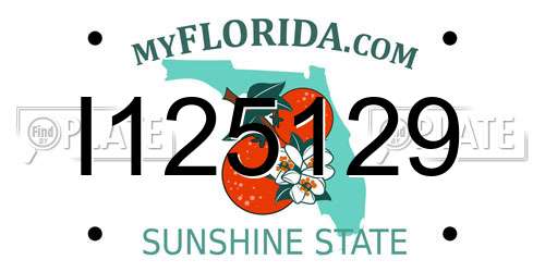 I125129 Florida License Plate