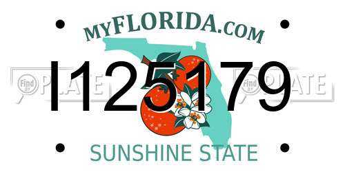 I125179 Florida License Plate