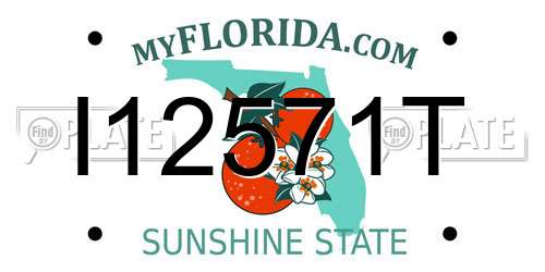 I12571T Florida License Plate