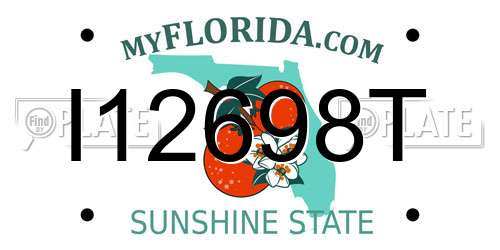 I12698T Florida License Plate