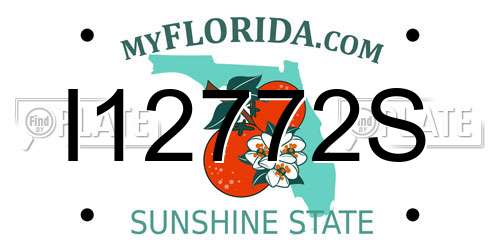 I12772S Florida License Plate