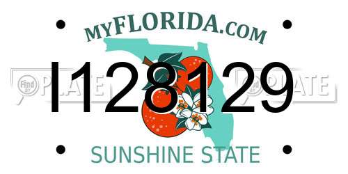 I128129 Florida License Plate