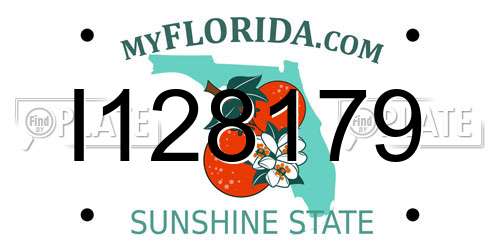 I128179 Florida License Plate