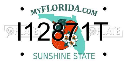 I12871T Florida License Plate