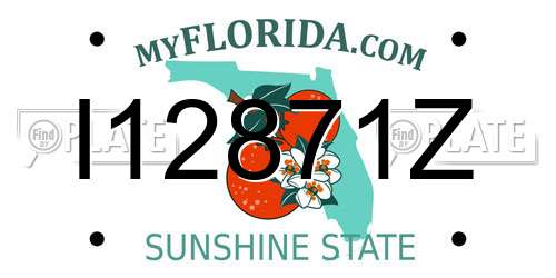 I12871Z Florida License Plate