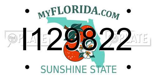 I129822 Florida License Plate