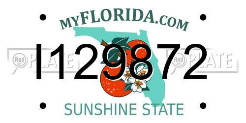 I129872 Florida License Plate