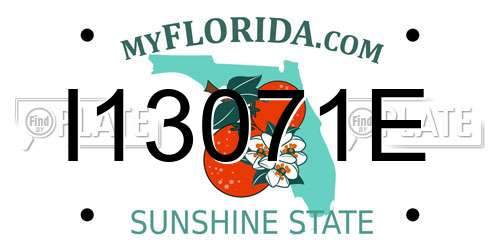 I13071E Florida License Plate