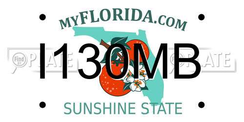 I130MB Florida License Plate