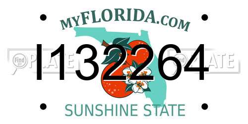 I132264 Florida License Plate