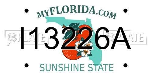 I13226A Florida License Plate