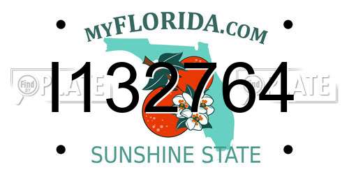 I132764 Florida License Plate