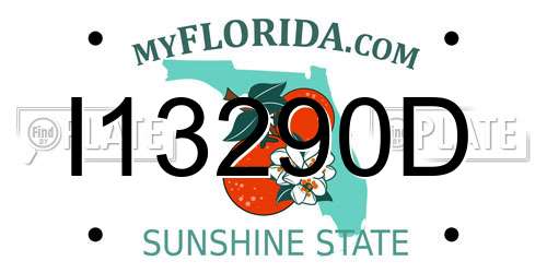 I13290D Florida License Plate