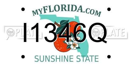 I1346Q Florida License Plate