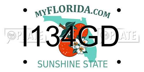I134GD Florida License Plate