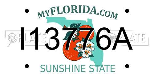 I13776A Florida License Plate