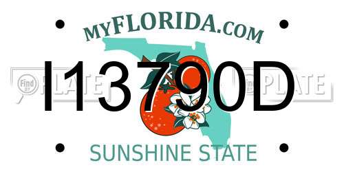 I13790D Florida License Plate