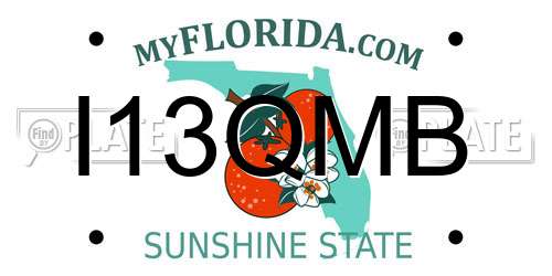I13QMB Florida License Plate