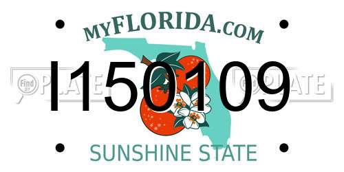 I150109 Florida License Plate