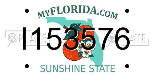 I153576 Florida License Plate
