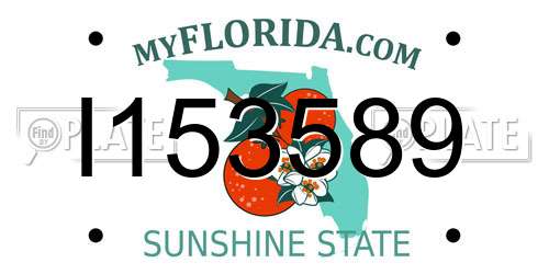 I153589 Florida License Plate