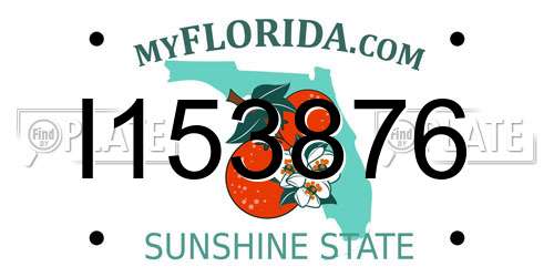 I153876 Florida License Plate