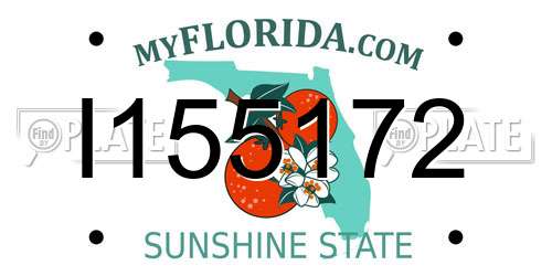 I155172 Florida License Plate