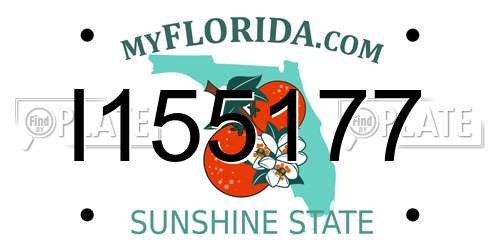 I155177 Florida License Plate