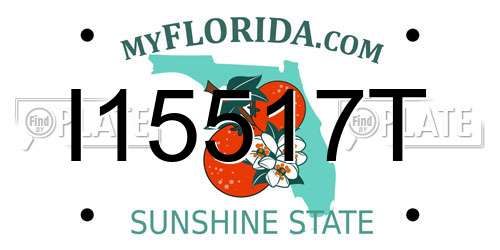 I15517T Florida License Plate