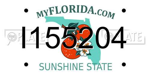 I155204 Florida License Plate